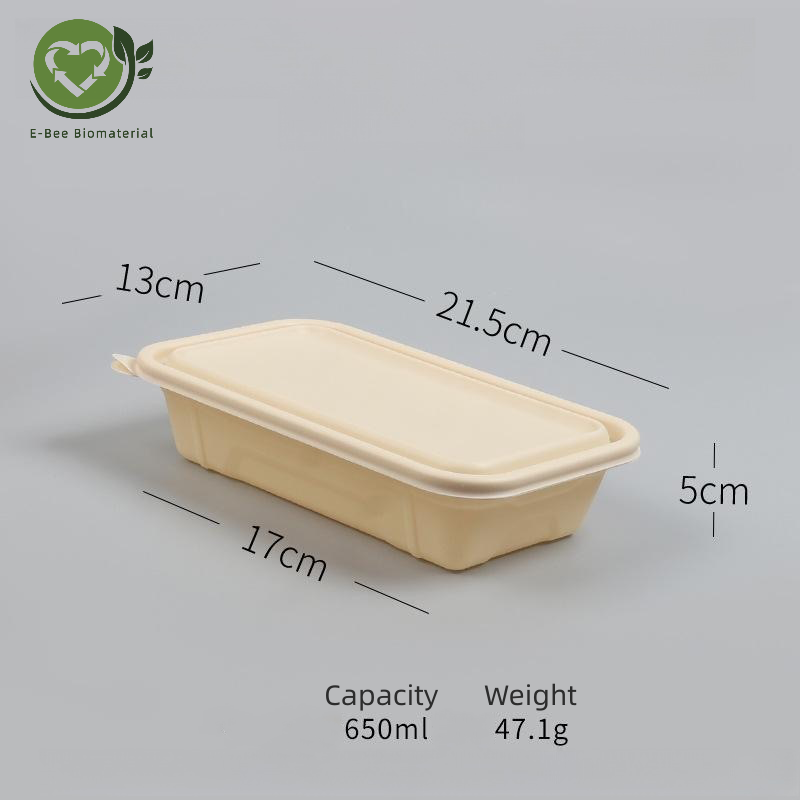 B Disposable Food Box