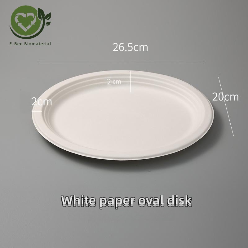 Biodegradable White Sugarcane Disposable Food Trays for Party
