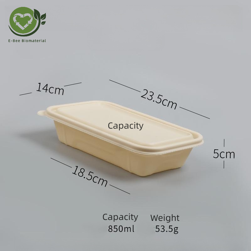 D Disposable Food Box