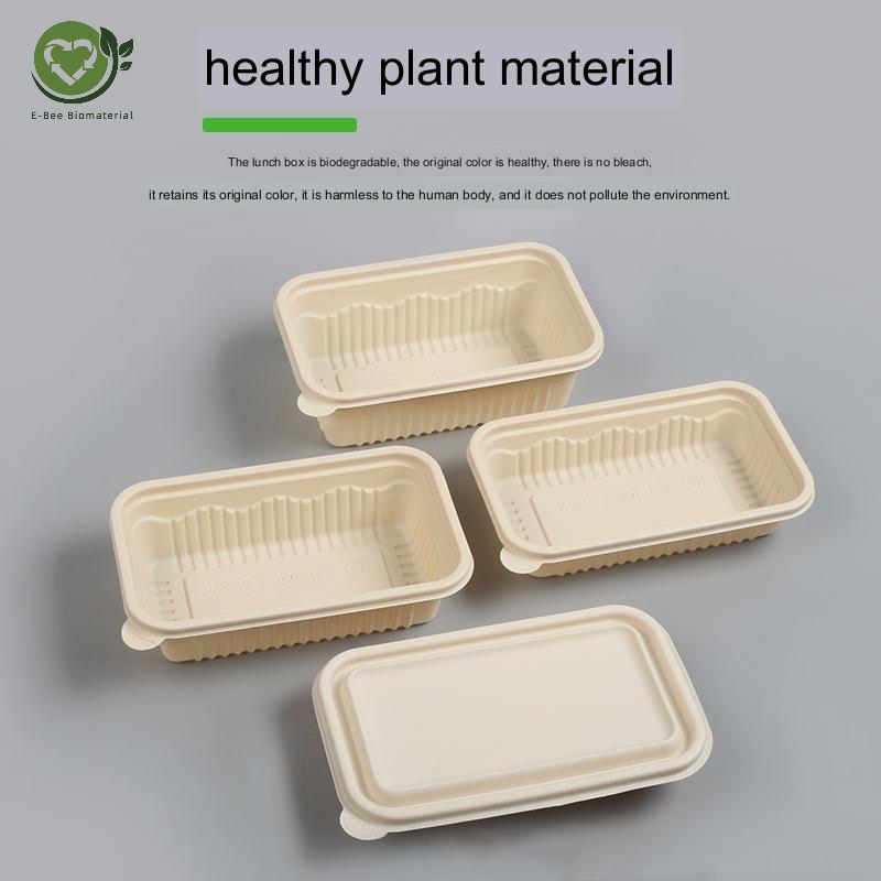 Disposable Food Box deatils 3