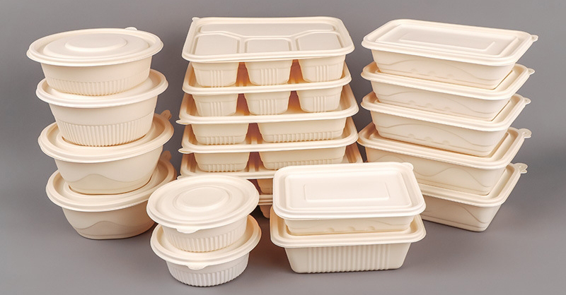 lunch box1